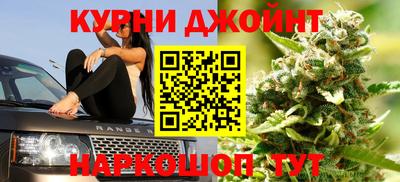 ALPHA PVP Гатчина