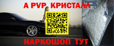 ALPHA PVP Гатчина