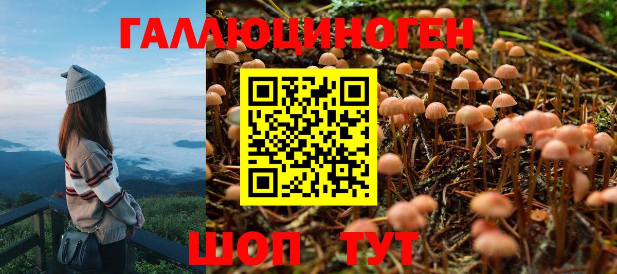 Псилоцибиновые грибы прущие грибы Чебаркуль