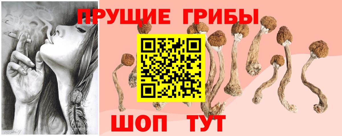 Псилоцибиновые грибы Magic Shrooms  Галлюциногенные грибы Psilocybe  Вход с VPN  продажа наркотиков  Чебаркуль 